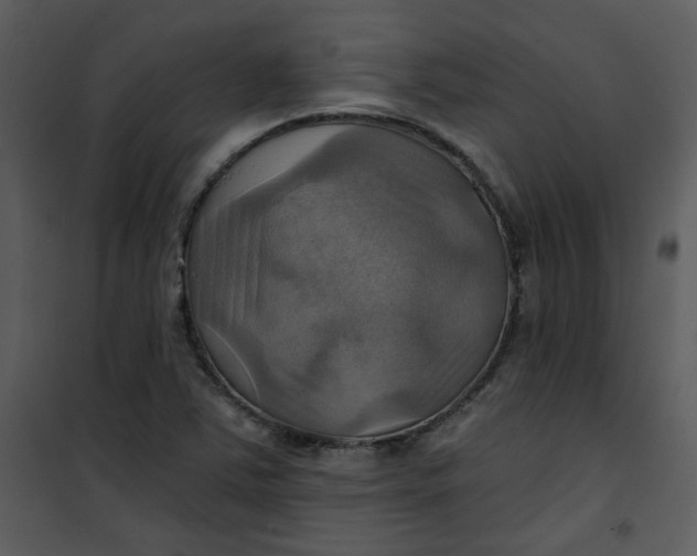 X0000101161363200807181348