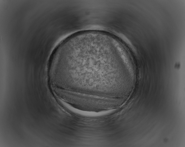 X0000101161364200807181348