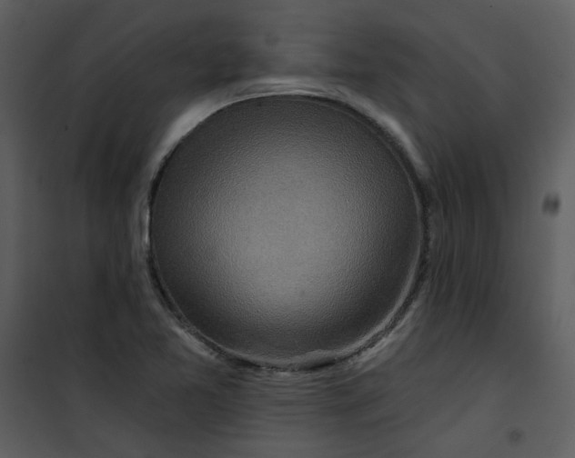 X0000101161365200807181348