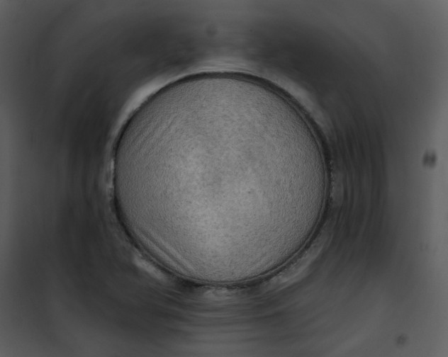 X0000101161366200807181348