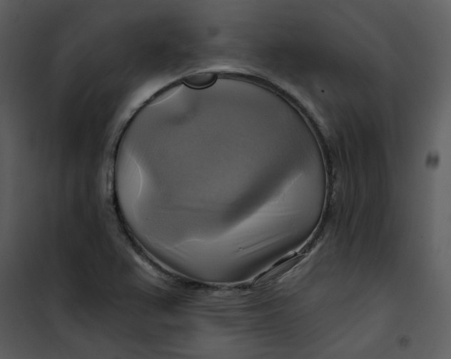 X0000101161367200807181348