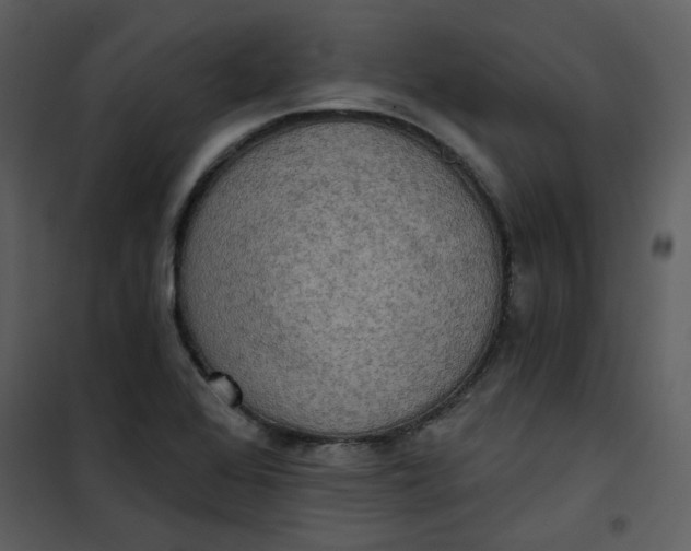 X0000101161368200807181348