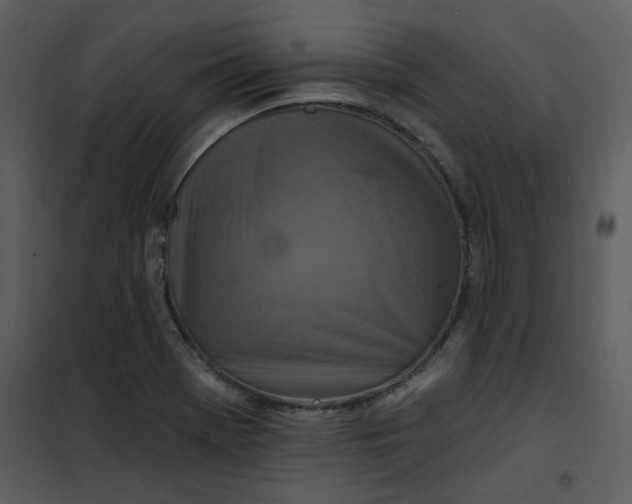 X0000101161369200807181348