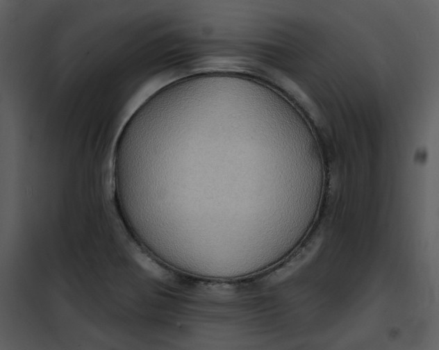 X0000101161370200807181348