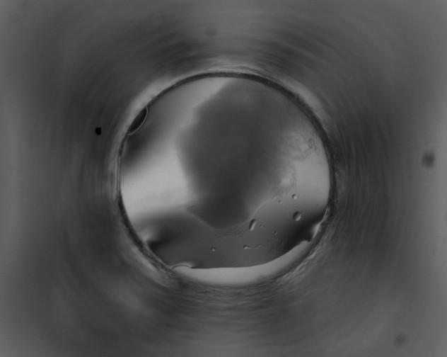 X0000101161371200807181348