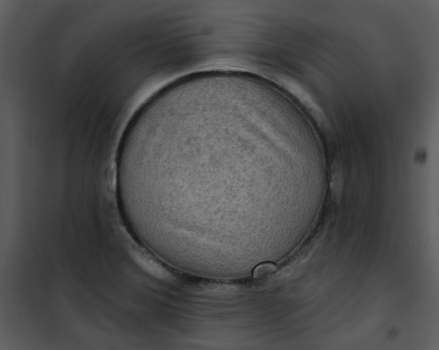 X0000101161372200807181348