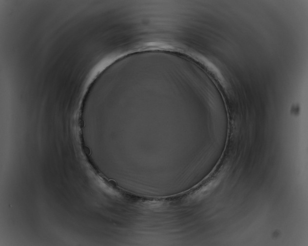 X0000101161373200807181348