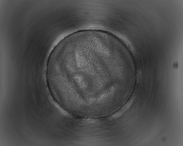 X0000101161374200807181348