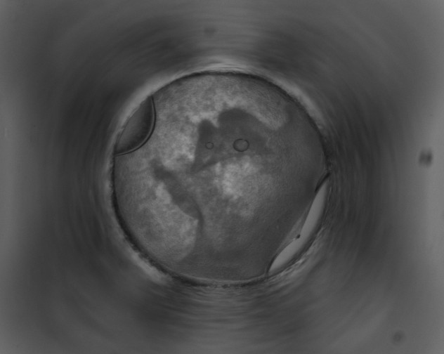 X0000101161375200807181348