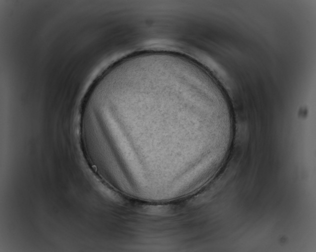 X0000101161376200807181348