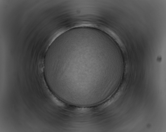 X0000101161377200807181348