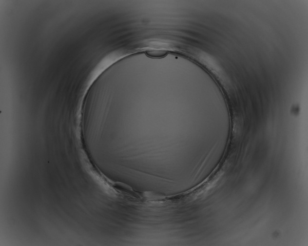 X0000101161378200807181348