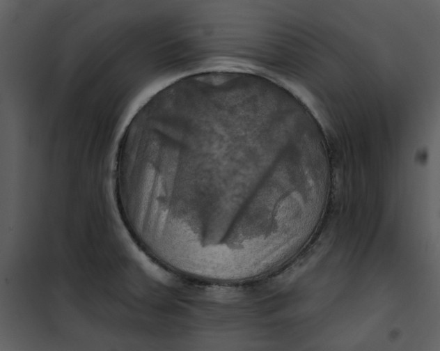 X0000101161379200807181348