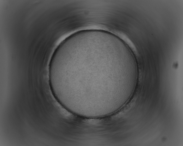 X0000101161380200807181348