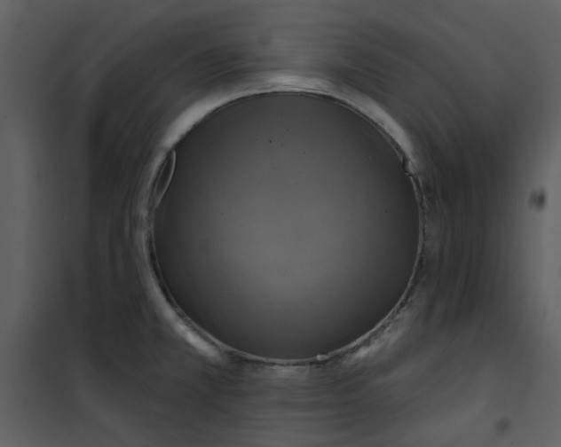 X0000101161381200807181348