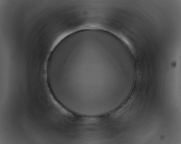 X0000101161382200807181348