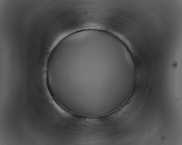 X0000101161383200807181348