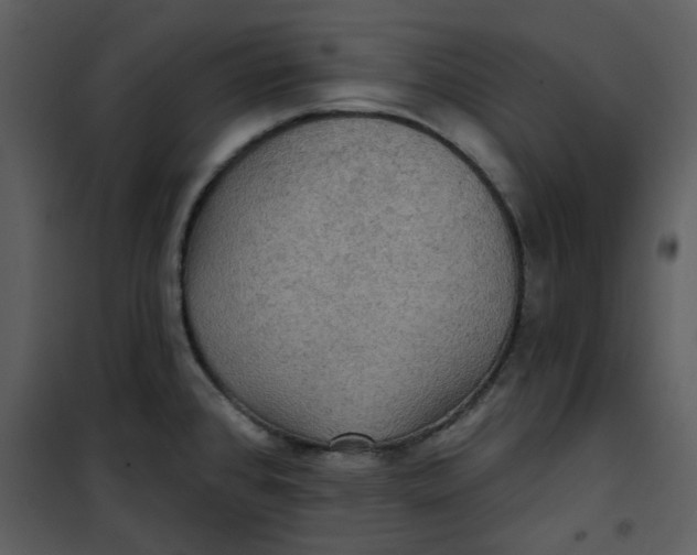 X0000101161384200807181348