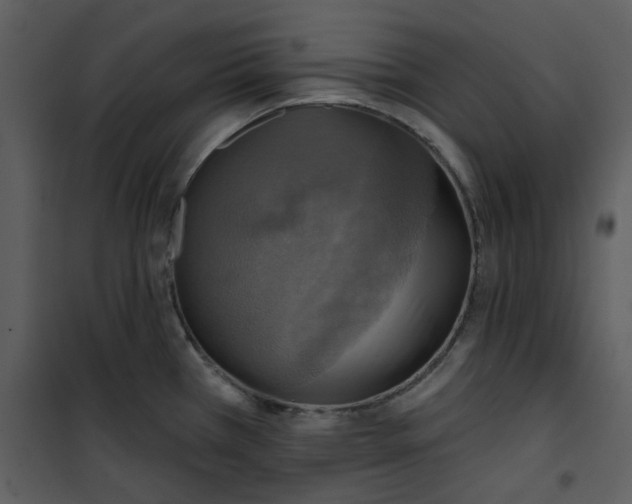 X0000101161385200807181348