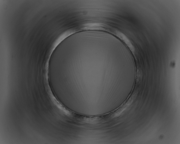 X0000101161386200807181348