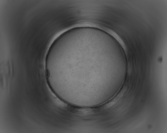 X0000101161388200807181348