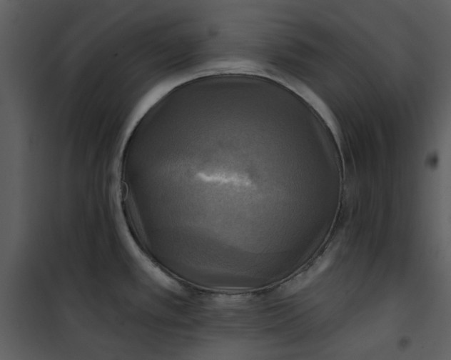 X0000101161389200807181348