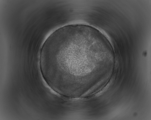 X0000101161390200807181348