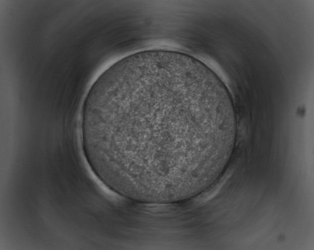 X0000101161391200807181348