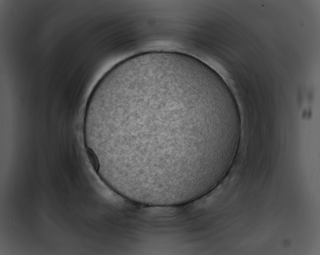 X0000101161392200807181348