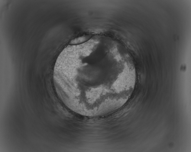 X0000101161393200807181347