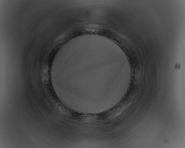 X0000101161394200807181347