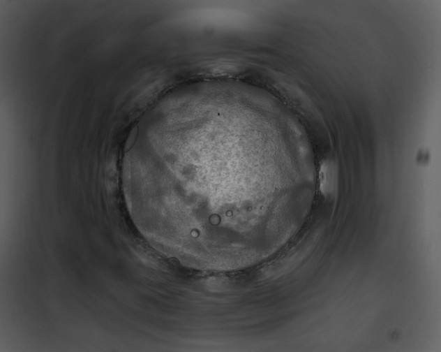 X0000101161395200807181347