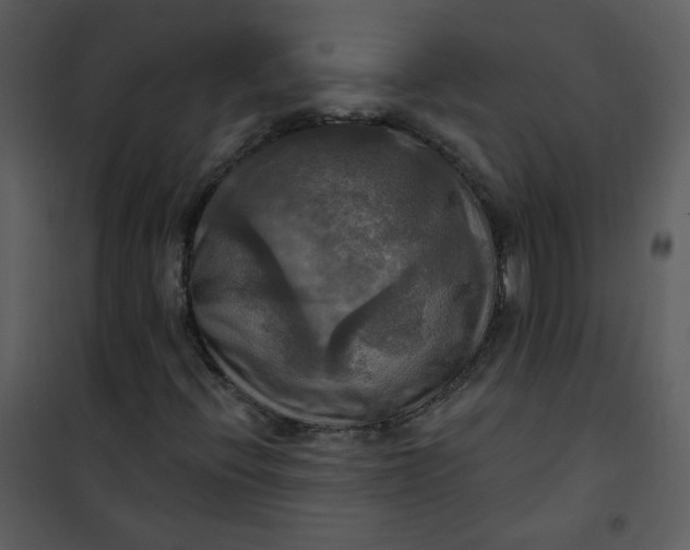 X0000101161396200807181347