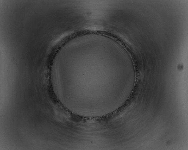 X0000101161398200807181347