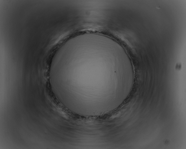 X0000101161399200807181347