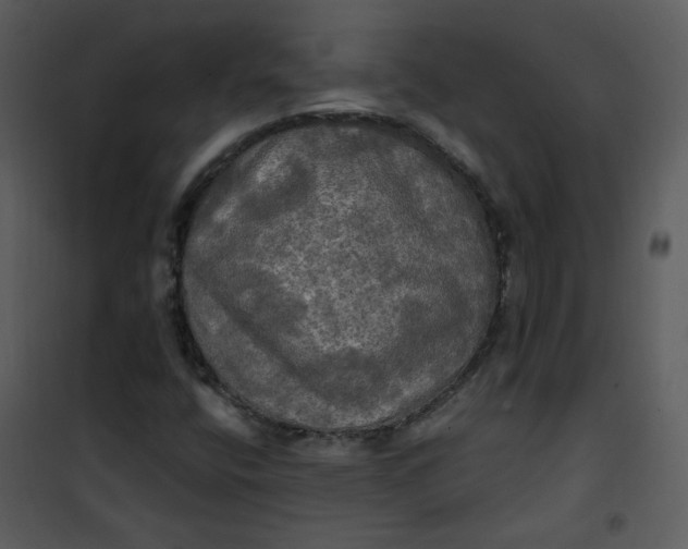 X0000101161400200807181347