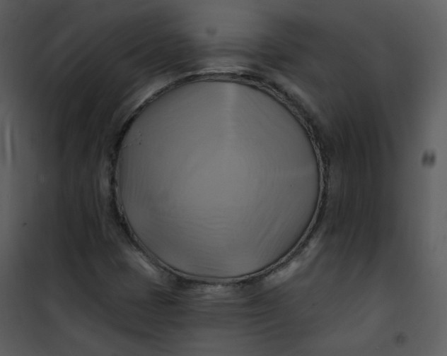 X0000101161401200807181347