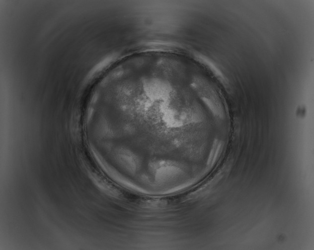 X0000101161403200807181347