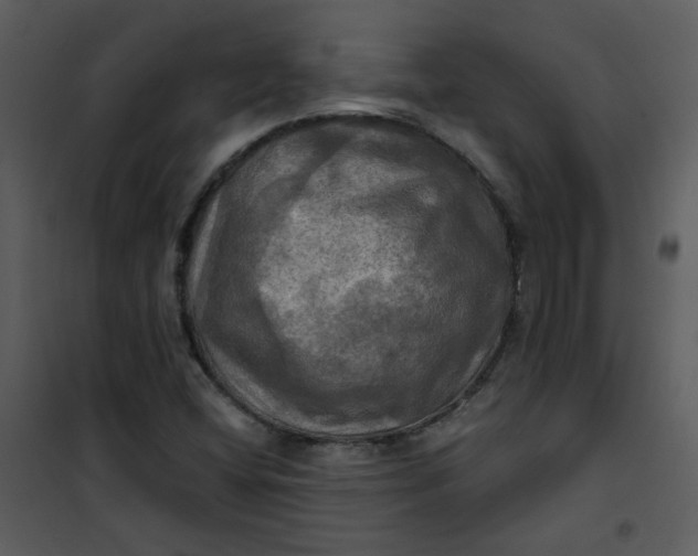 X0000101161404200807181347