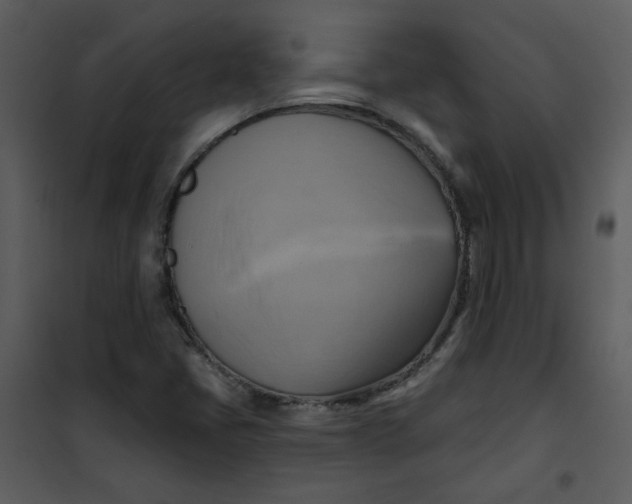 X0000101161405200807181347