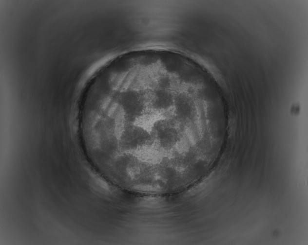 X0000101161406200807181347