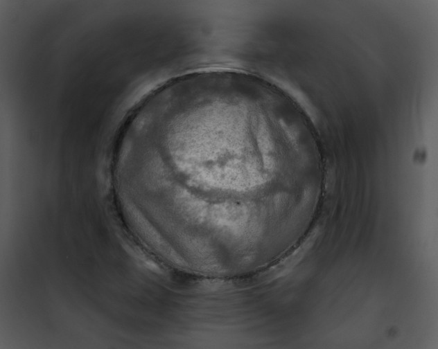 X0000101161407200807181347