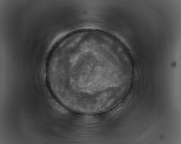 X0000101161408200807181347