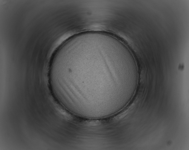 X0000101161410200807181347