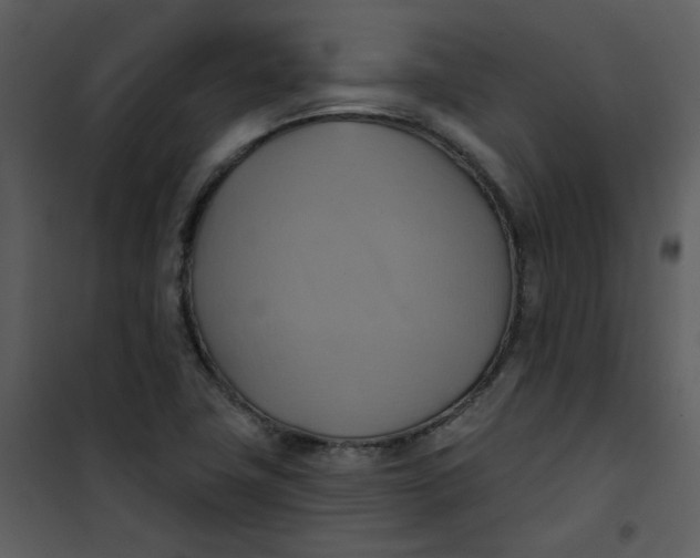 X0000101161411200807181347