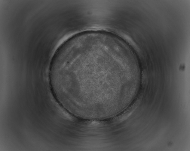 X0000101161412200807181347