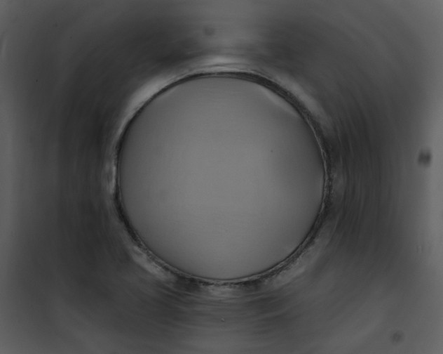 X0000101161413200807181347