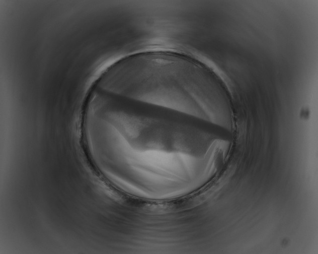 X0000101161415200807181348