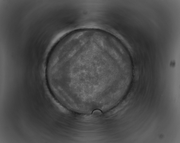 X0000101161416200807181348