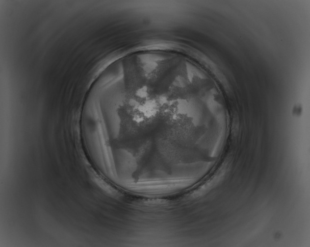 X0000101161417200807181348